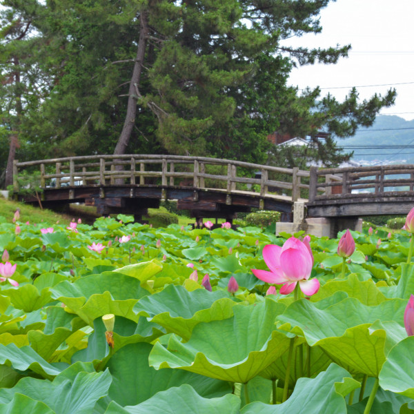 備中高松城址公園