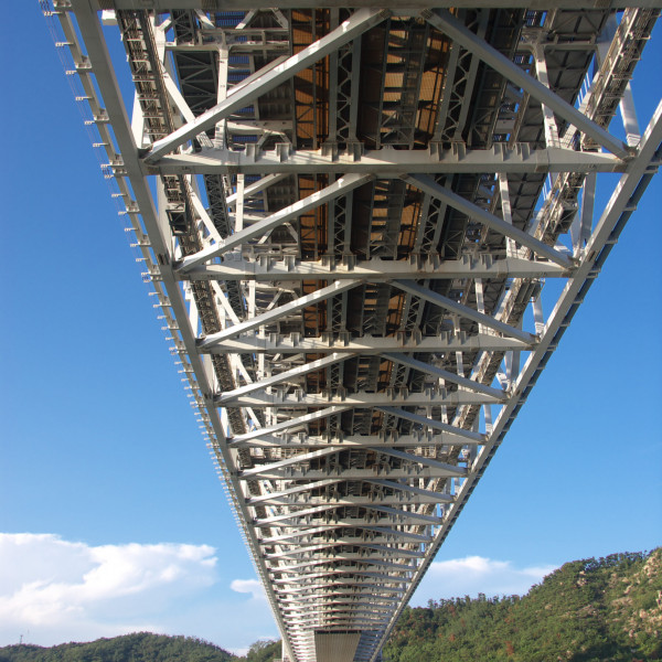 瀬戸大橋観光船（縦）