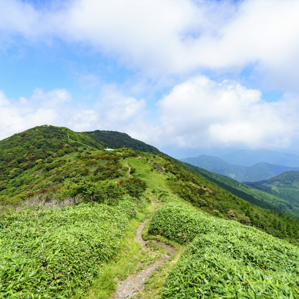 那岐山