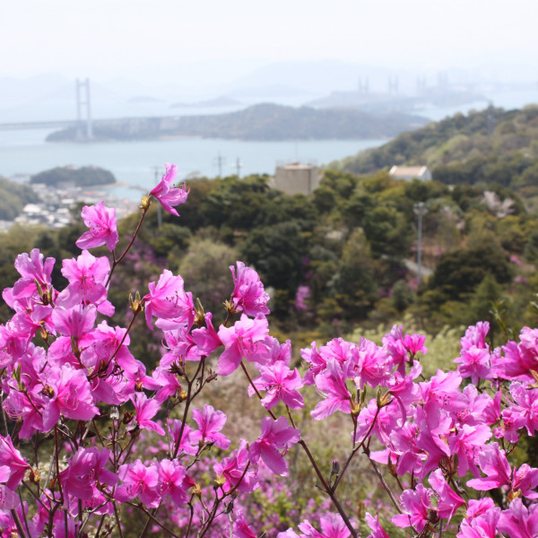 三百山