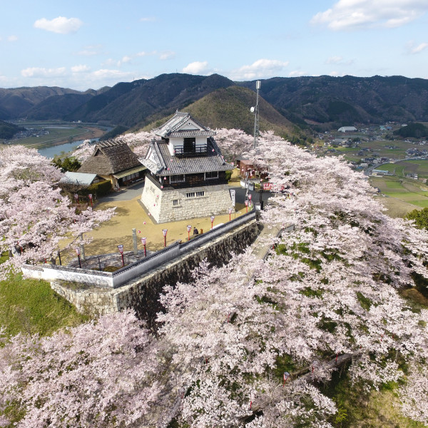 吉井城山公園