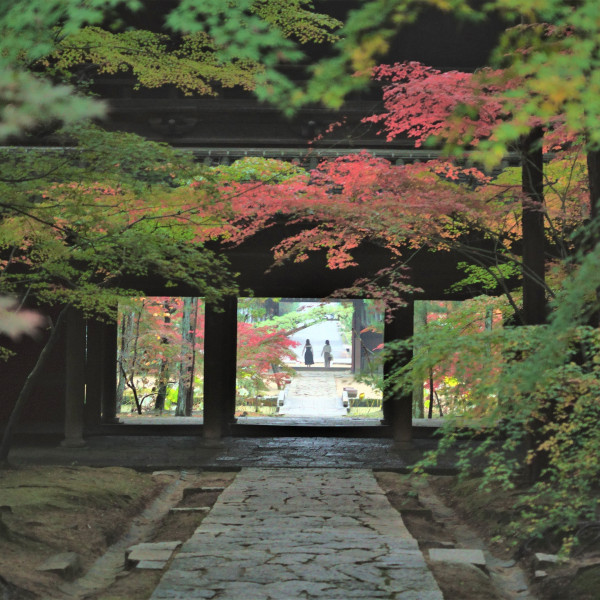曹源寺