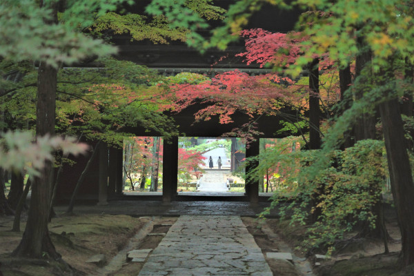 曹源寺