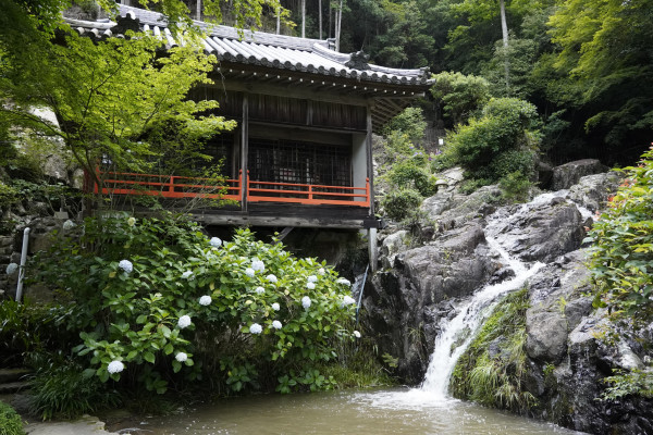 大滝山西法院