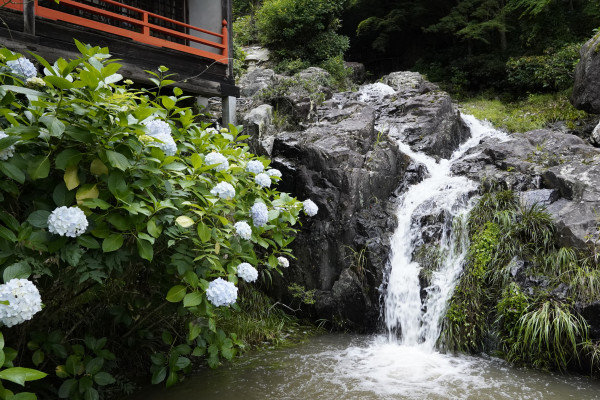大滝山西法院