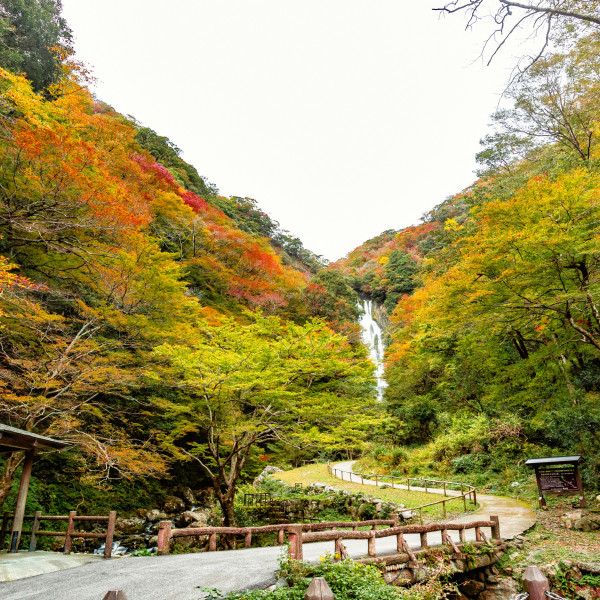 神庭の滝