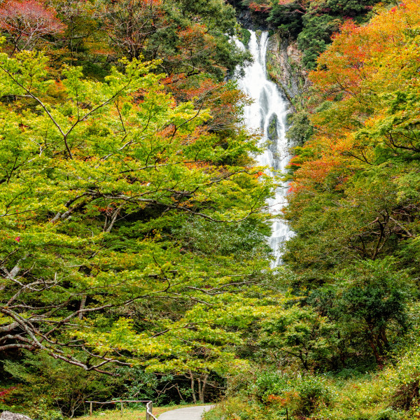 神庭の滝（縦）