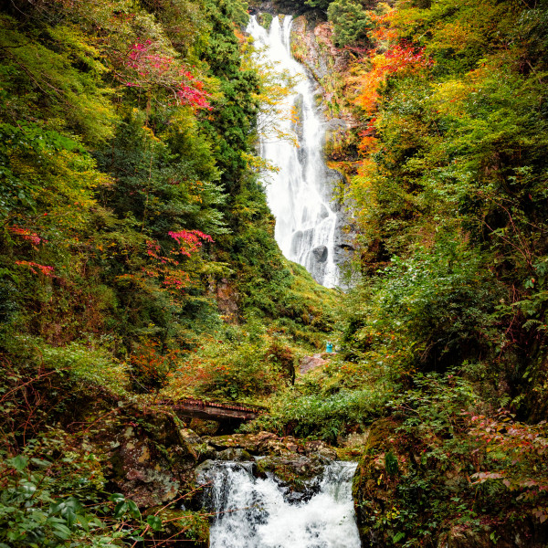 神庭の滝（縦）