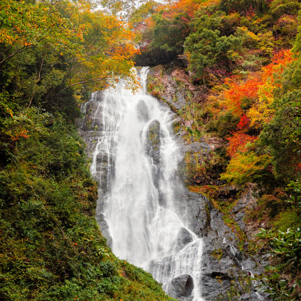 神庭の滝（縦）