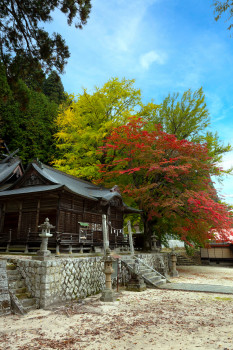 徳山神社（縦）