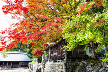 徳山神社