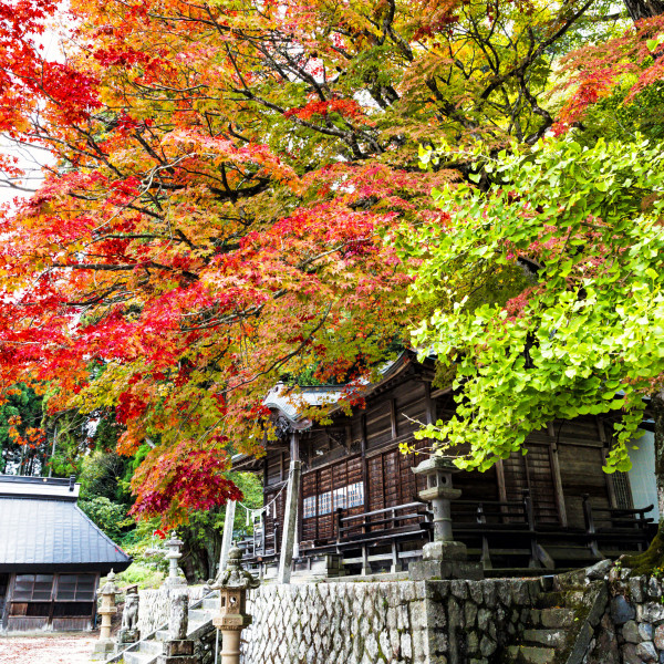 徳山神社