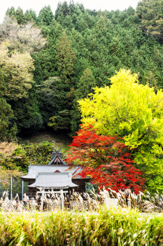 徳山神社（縦）