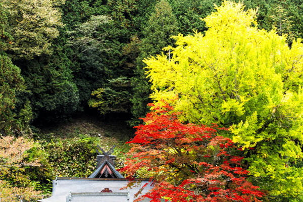 徳山神社（縦）