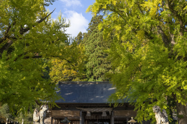 福田神社（縦）