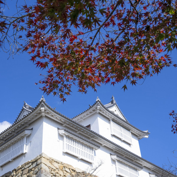 津山城（鶴山公園）（縦）
