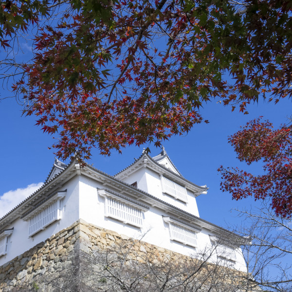 津山城（鶴山公園）