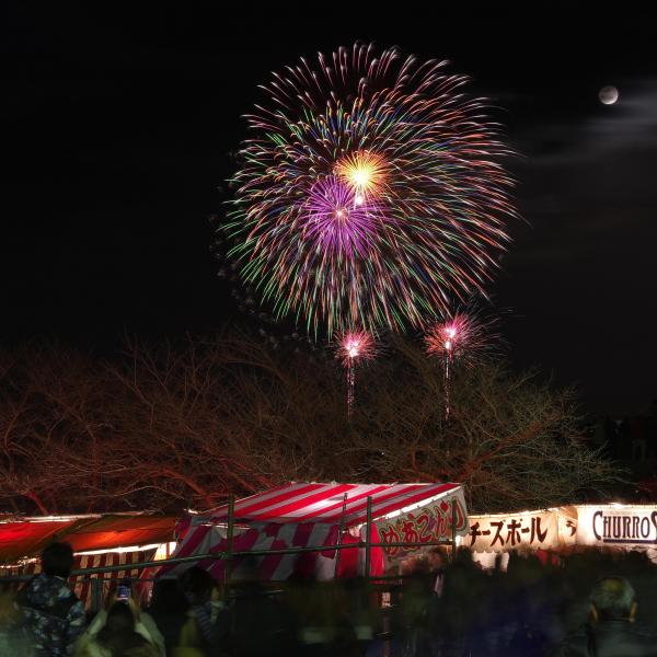 西大寺会陽