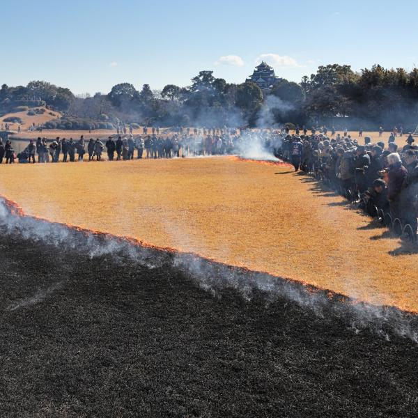 岡山後楽園　芝焼き