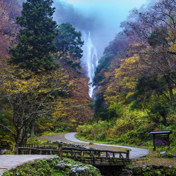 神庭の滝（縦）