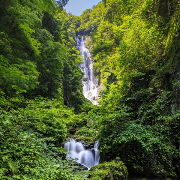 神庭の滝（縦）