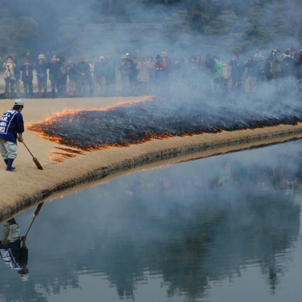 岡山後楽園　芝焼き
