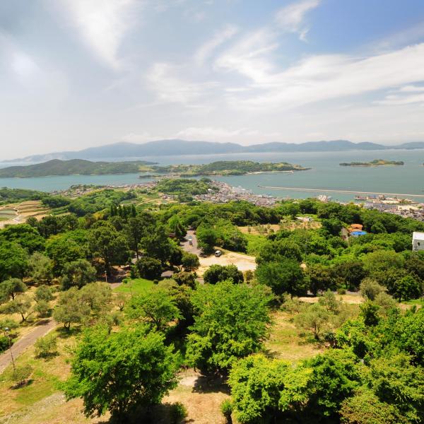 牛窓オリーブ園
