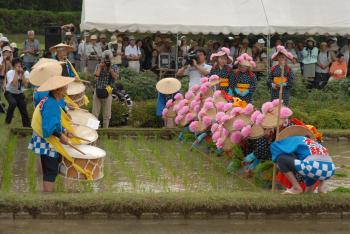 岡山後楽園　お田植え祭