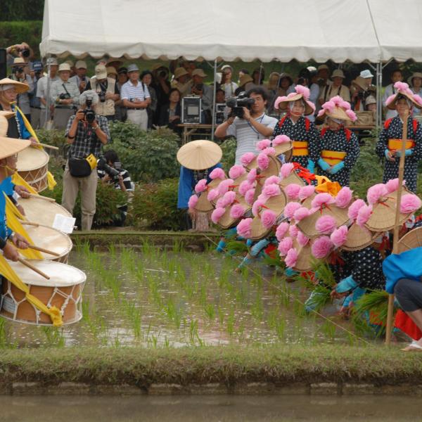 岡山後楽園　お田植え祭