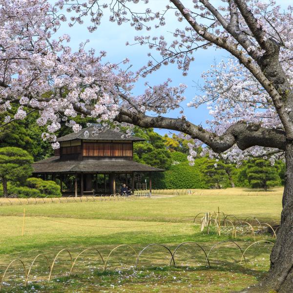 岡山後楽園
