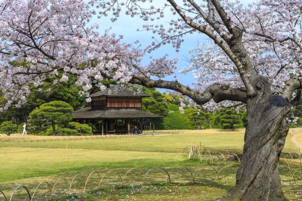 岡山後楽園