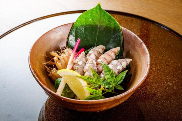 シャコ（茹で）