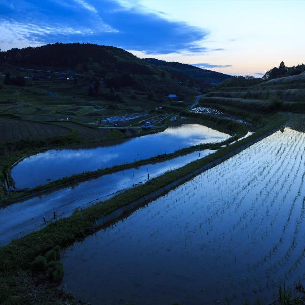 大垪和西の棚田