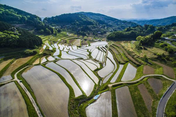 大垪和西の棚田