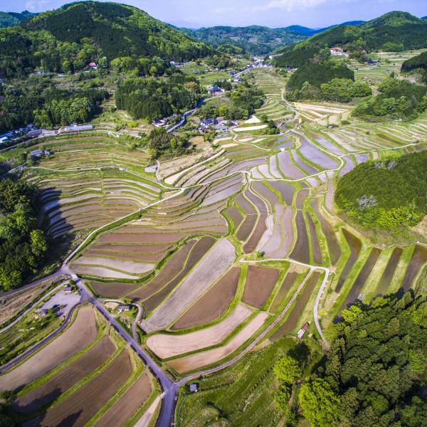 大垪和西の棚田
