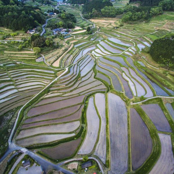 大垪和西の棚田