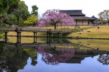 岡山後楽園