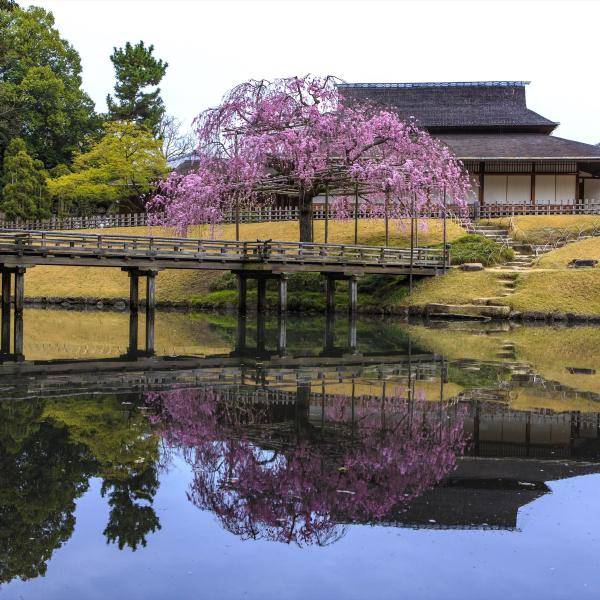 岡山後楽園