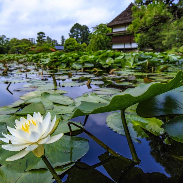 衆楽園
