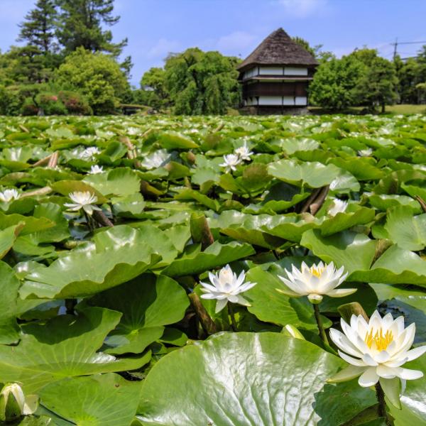 衆楽園