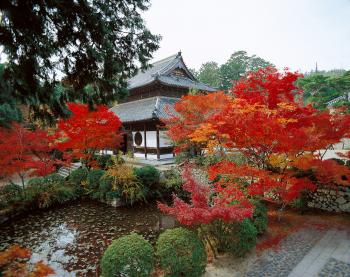 井山宝福寺