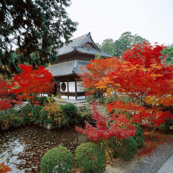 井山宝福寺