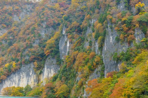 井倉峡（縦）