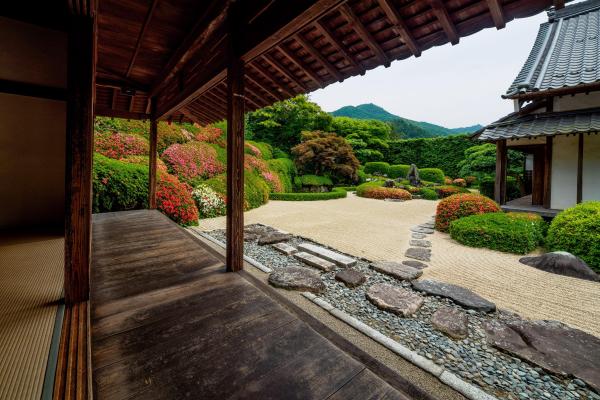 観光写真ダウンロード頼久寺庭園