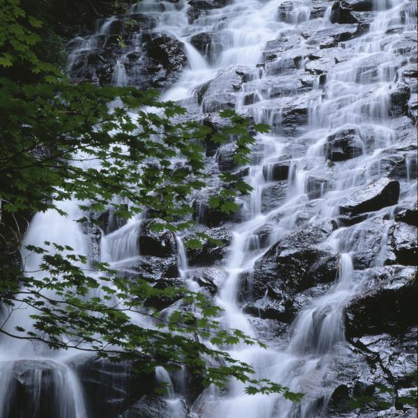 布滝（縦）