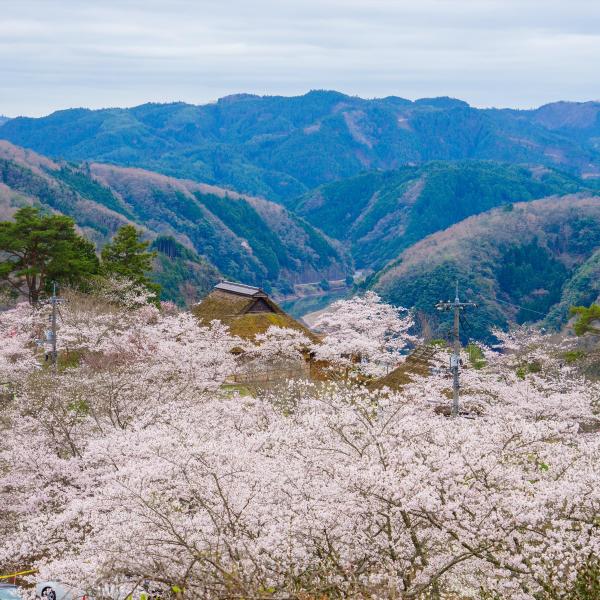三休公園
