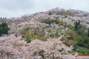 三休公園