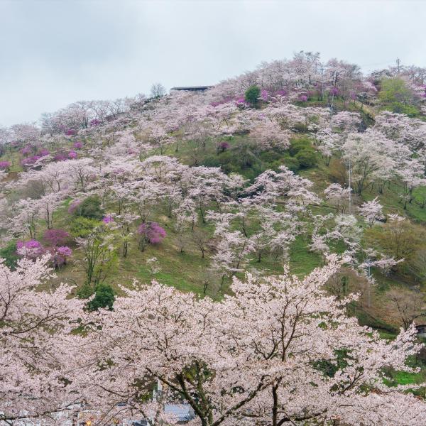 三休公園