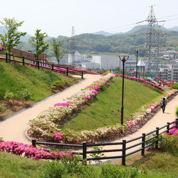 つばきの丘公園
