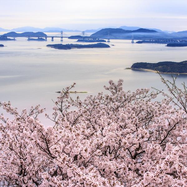 王子が岳